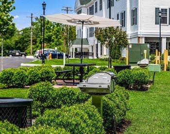 Picnic areas with barbeque